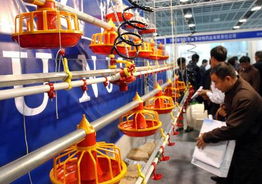 2003中國畜牧業暨飼料工業交易會 推動行業發展的盛會