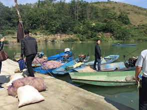 貴州安順市畜牧獸醫(yī)局開展?jié)O業(yè)船舶安全生產(chǎn)隱患大檢查 筑牢畜牧漁業(yè)飼料銷售安全防線